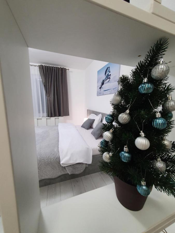 Fresh Mountain Brasov Apartment ภายนอก รูปภาพ