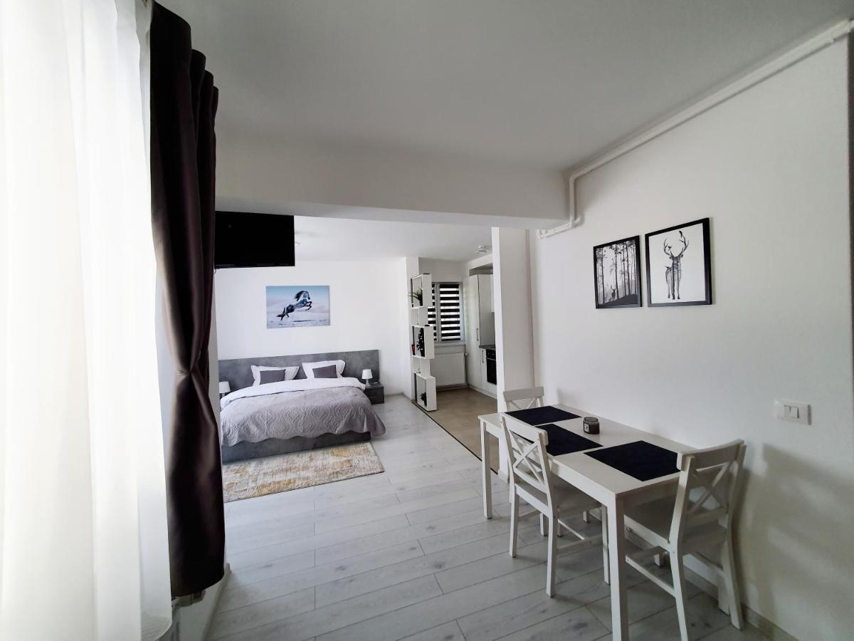 Fresh Mountain Brasov Apartment ภายนอก รูปภาพ